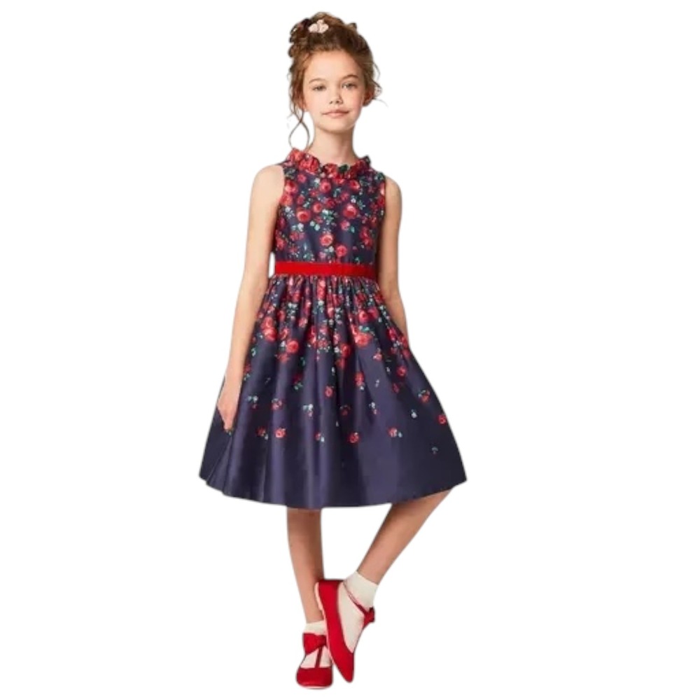 American Girl x Janie and Jack Wrapped In Roses Party Dress Navy Red Girl Size 8